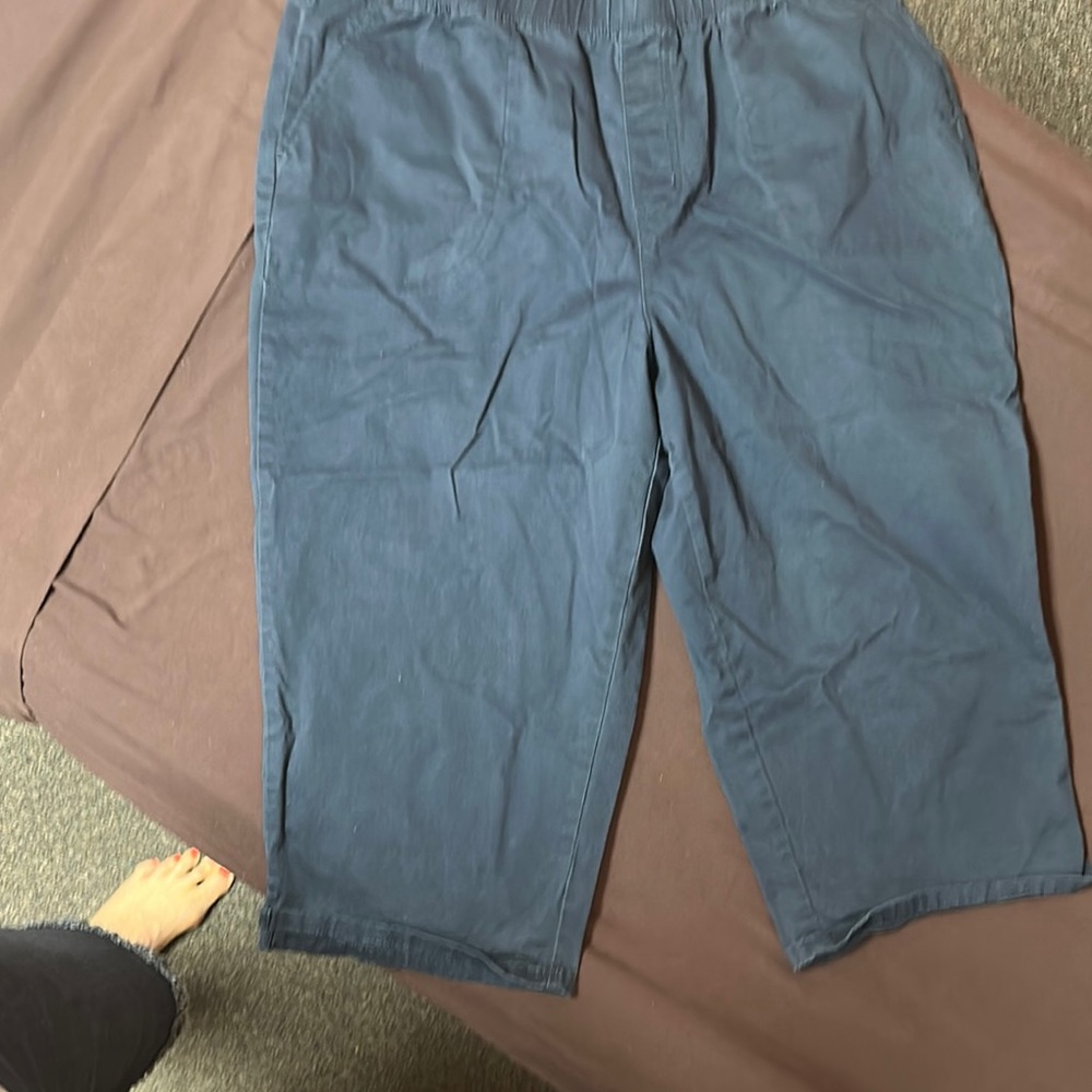 Denim&Co Blue Capri Pants Elastic Waist